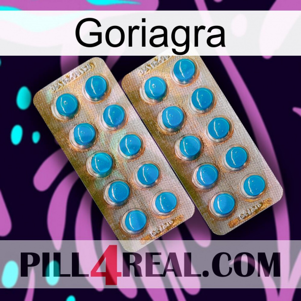 Goriagra new08.jpg